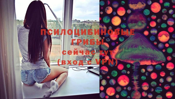 хмурый Зерноград