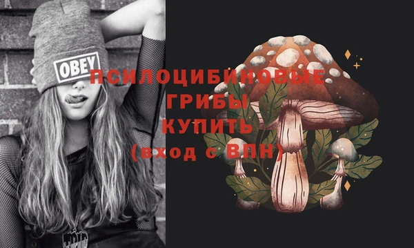прущая мука Зеленодольск