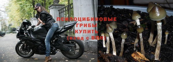 хмурый Зерноград