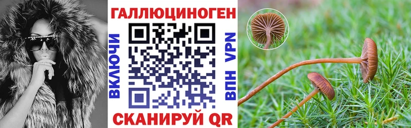 Псилоцибиновые грибы ЛСД Купить где Уржум